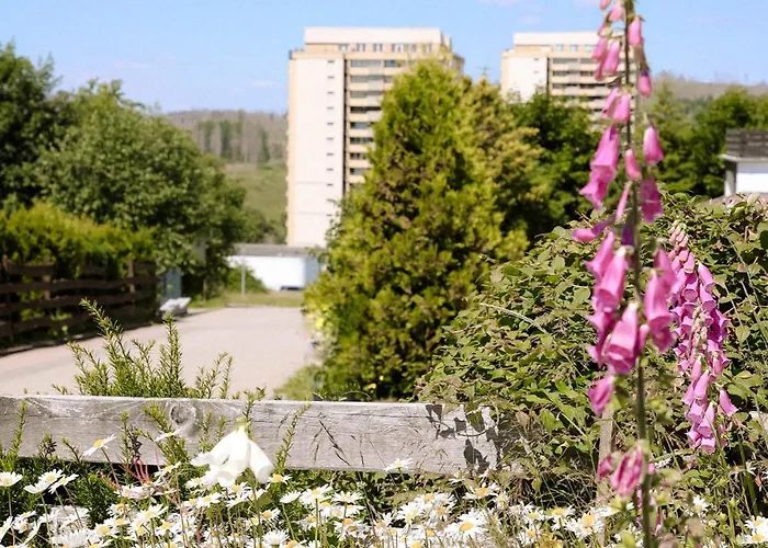 Harzherz, Im Harz, Mit Schwimmbad Und Sauna * Braunlage